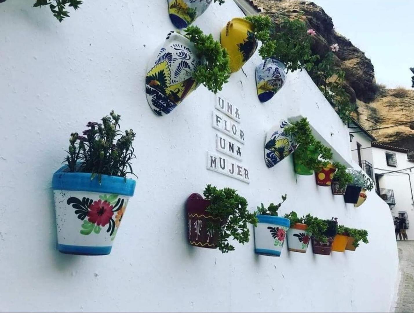 Appartement La Medina Baja à Setenil De Las Bodegas Extérieur photo